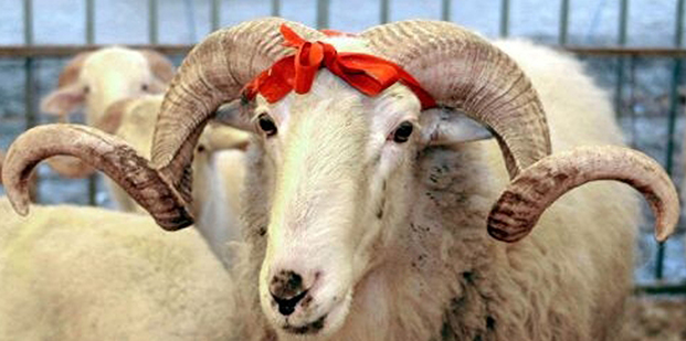 Гурбанский фестиваль