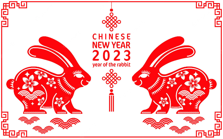 Год кролика