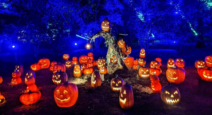 QQ截图20221031105754