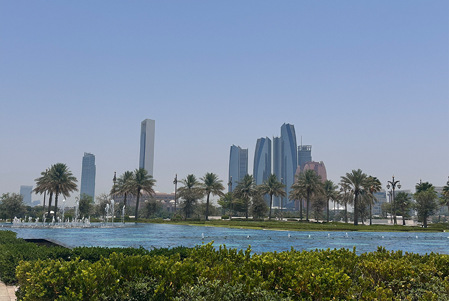 Изучение популярных продуктов и достопримечательностей на рынке ОАЭ